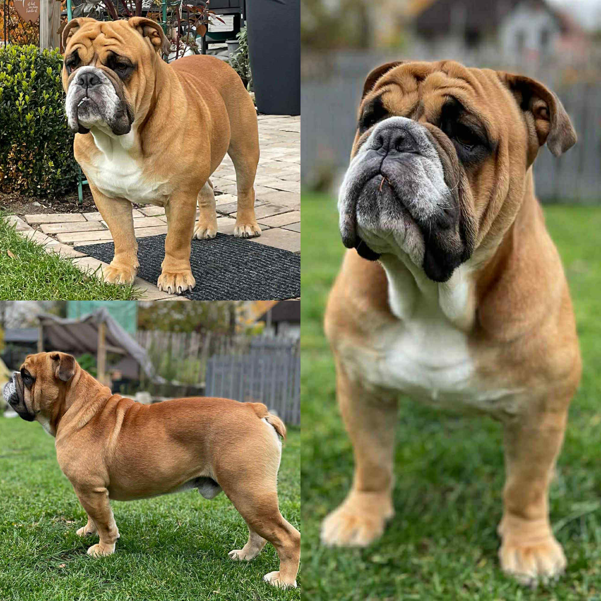 Mystyle Cosmopolitan